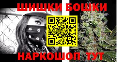 индика Сланцы