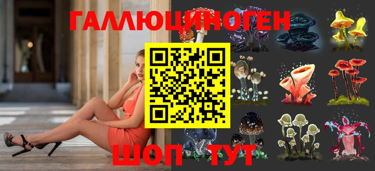 Псилоцибиновые грибы GOLDEN TEACHER Норильск